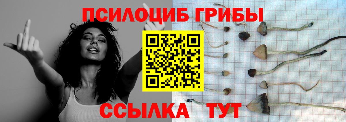 Красноуфимск  Галлюциногенные грибы Psilocybe  Вход с VPN  Галлюциногенные грибы ЛСД 